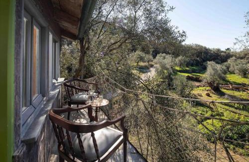 Skala Casa | Margaritis's Treehouse