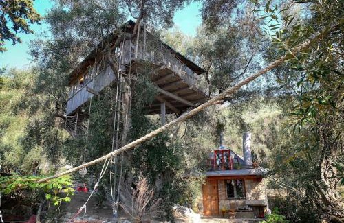 Skala Casa | Margaritis's Treehouse