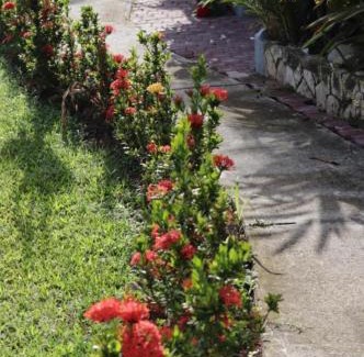 Orange Bay Hotel | Marge's Vacation Rentals