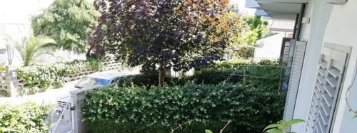 Viserbella Apartamento | Margherita Rimini - Appartamenti al Mare