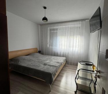 Tirgu Jiu Apartamento | Margo Apartament cu 2 camere