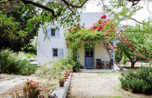 Eggares Casa | Margouno Eco Cottage
