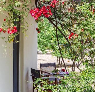 Eggares Casa | Margouno Eco Cottage