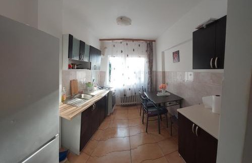 Focsani Apartamento | Mari