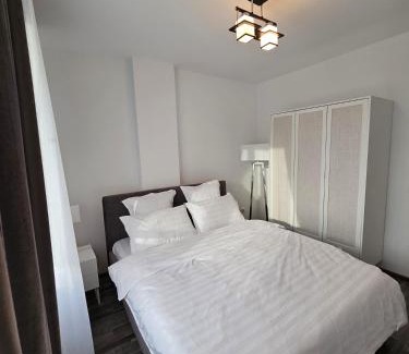 Baia Mare Apartamento | Maria's Premium Suite
