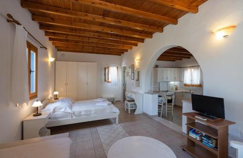 Aliki Apartamento | Maria's Village One Bedroom House 4
