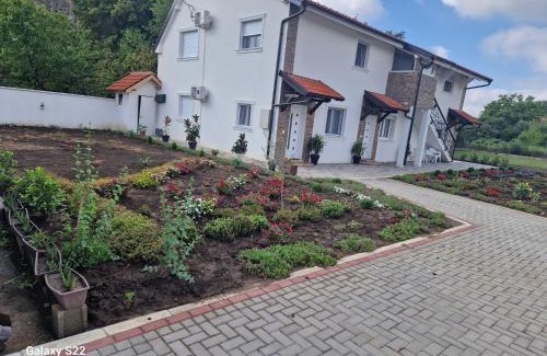 Surcin Apartamento | Mariachi Surčin