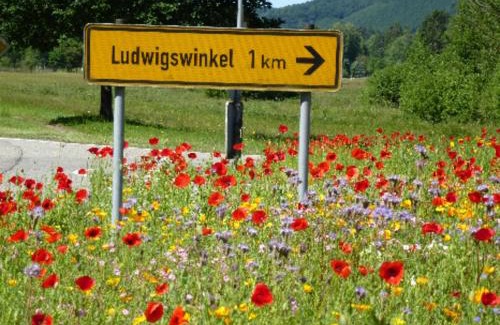 Ludwigswinkel Apartamento | Marianne
