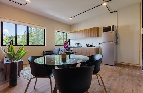 Miguel Hidalgo Apartamento | Mariano Escobedo Apartments by VH