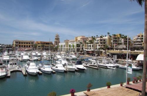 Marina Apartamento | Marina Cabo Plaza Town & Beach Condos
