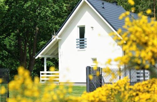 Sasino Casa | Marina Sasino - Komfortowe Domy z Sauną i Kominkami