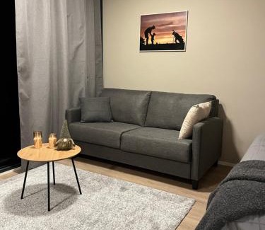 Kalajoki Apartamento | Marinan Portin Svingi A23 lemmikit sallittu