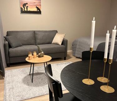 Kalajoki Apartamento | Marinan Portin Svingi A23 lemmikit sallittu