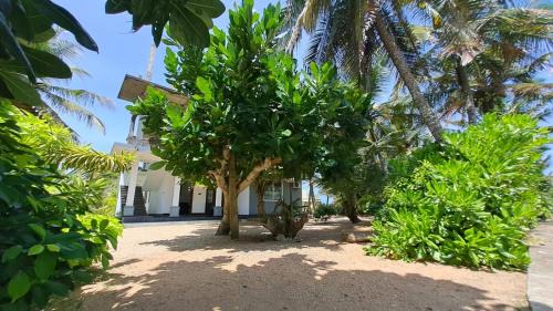 Dambulla Casa | Mario Ocean View