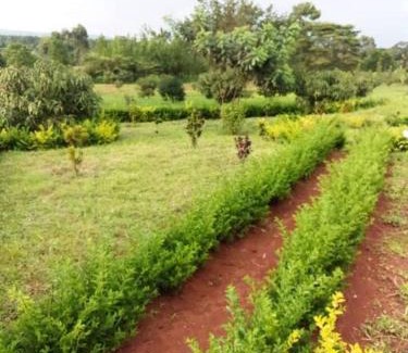 Kigoma Casa | MARK-A Karama Vacation