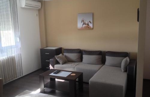 Pancevo Apartamento | Markoni