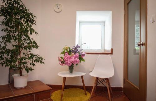 Donje Polje Apartamento | Markov konak