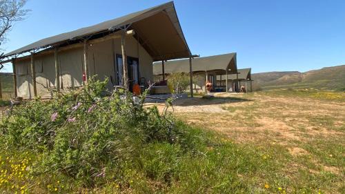 Cederberg Otro | Marquee Safari Tent lachenalias