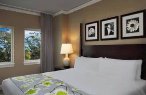 Myrtle Beach Complejo | Marriott Ocean Watch Resort- Garden View-Steps from the ocean