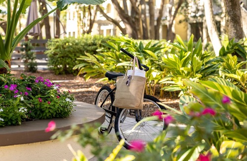 Palmetto Dunes Complejo | Marriott's Barony Beach Club