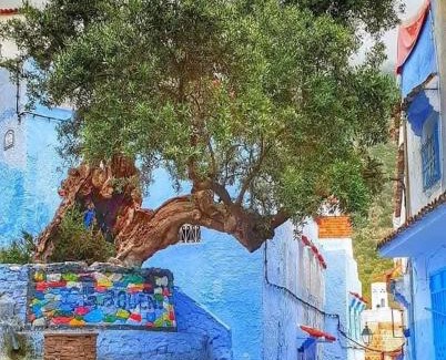 Inezgane Apartamento | Marruecos Excursiones