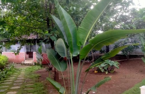 Shahapur Casa | Mars Agro Farm - Shahapur