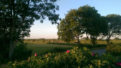 Oldsum Casa | Marschblick