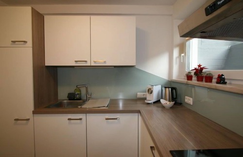 Wiesing Apartamento | Apartamento Ferienwohnung Apart Martina en Achensee - 4 personas, 1 dormitorios