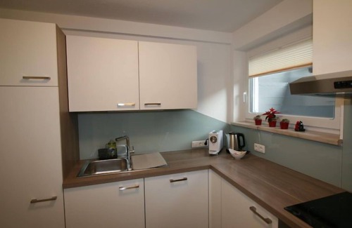 Wiesing Apartamento | Apartamento Ferienwohnung Apart Martina en Achensee - 4 personas, 1 dormitorios