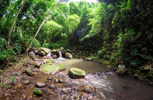 Le Morne-Vert Cabina | Martinique Treehouse