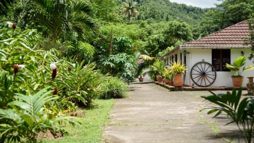 Le Morne-Vert Cabina | Martinique Treehouse