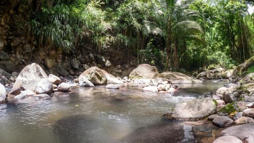 Le Morne-Vert Cabina | Martinique Treehouse