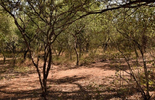 Marloth Park Apartamento | Mary B' Cottage