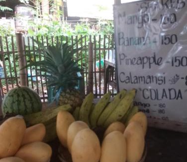 Dauin Casa | Mary's Homestay Apo island