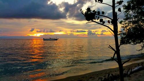 Moyo Casa | Maryan Moyo Bungalows & Resto
