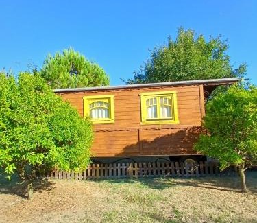 Arles Casa | Mas d'Alivon