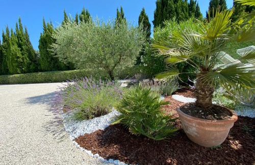 St.-Remy-de-Provence Cama Y Desayuno | Mas de l'Estello B&B