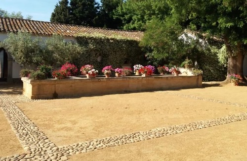 Mas Thibert Otro | Mas des Bécasses en campagne, 15 min d'Arles, 10 personnes