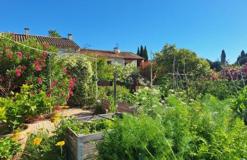 St.-Remy-de-Provence Cama Y Desayuno | MAS DES FIGUES - Mas XVIIIe très calme - Certifié Biologique FRBio10 - jardin naturel écologique - piscine 12x6 - Copieux brunch paysan méditerranéen du jardin cuisine huile d'olive - Agritourisme-Alpilles Saint Rémy de Provence-du 01 mai au 29 septembre-