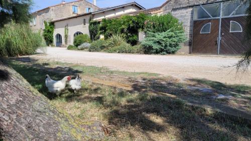 Port-Saint-Louis-du-Rhone Casa | Mas du Grand Peloux
