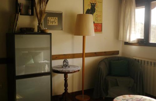 Sant Feliu de Pallerols Apartamento | Mas Franch