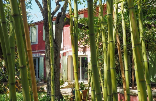 Arles Casa | Mas on large wooded plot with natural swimming pond.