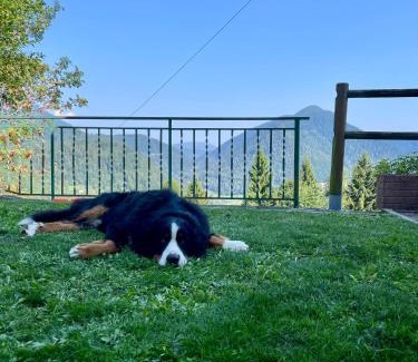 Pieve Tesino Casa | Maso Patrizia - Il tuo rifugio nella natura