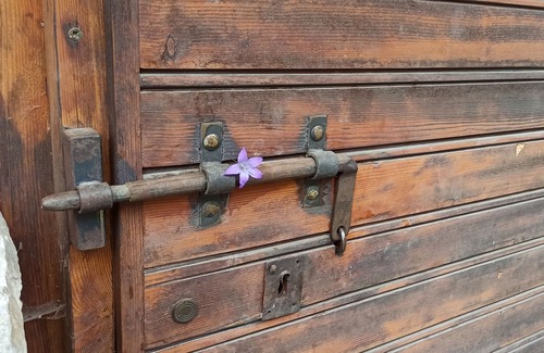 Pejo Chalet De Esquí | Maso Rapunzel - For a warm welcome surrounded by nature