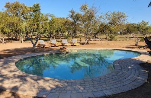 Phalaborwa Cabina | Masorini Bush Lodge & Safari Tents