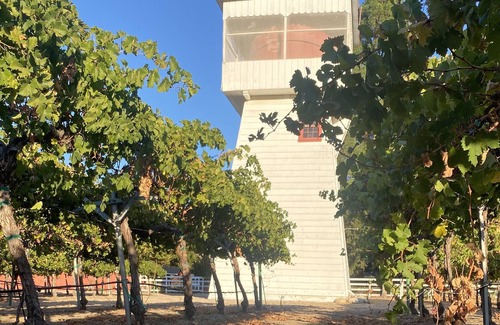 Greenfield Casa | Massa Estate & Vineyard