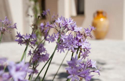Otranto Hotel | Masseria Panareo