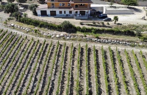 Satriano Otro | Masseria Petrella