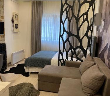 Kopaonik Apartamento | MASTER APARTMENTS N54 Milmari resort