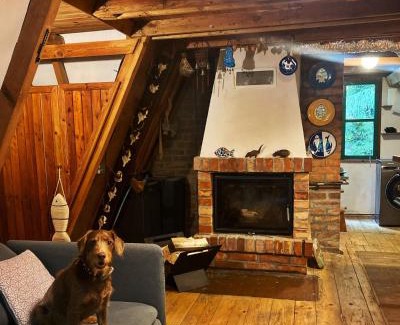 Ostrow Wielki Cabina | Masurian District home office praca zdalna remote work internet SATELITARNY STARLINK speed 155MBs download, trzy oddzielne stoły do pracy w trzech pomieszczeniach